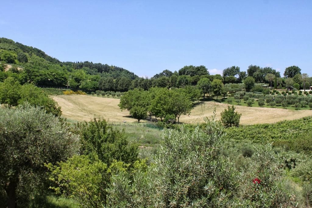 Villa Melagrana 法诺 客房 照片