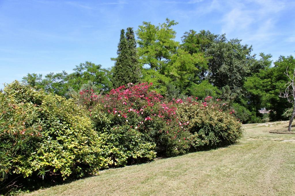 Villa Melagrana 法诺 客房 照片